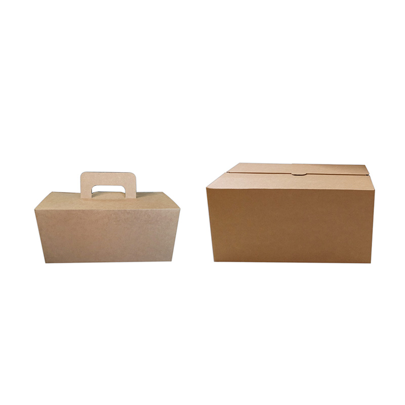 Lunch boxes with handle