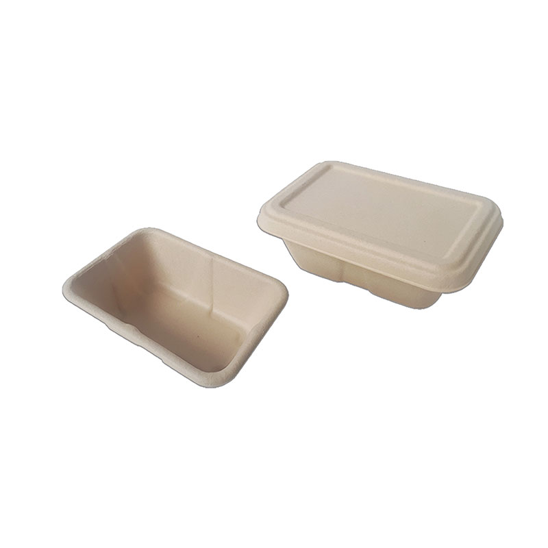 Rectangular Pulp Container